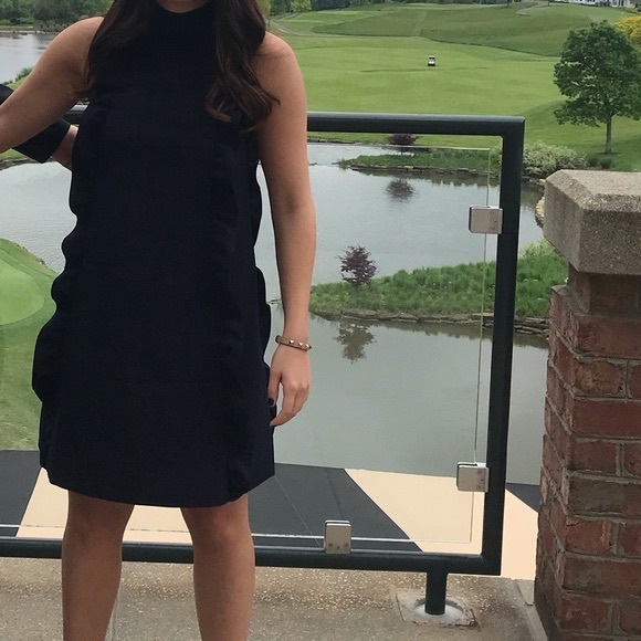 Ted Baker Torriya Ruffle Tunic Dress. Navy - Picture 6 of 6